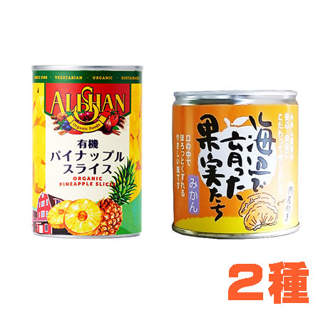 【6個】フルーツ缶セット 2種各3個ずつ・6個