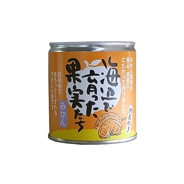 超格安価格 いのうえ果樹園 海辺で育った果実たち みかん缶詰 295ｇ×24個×2セット