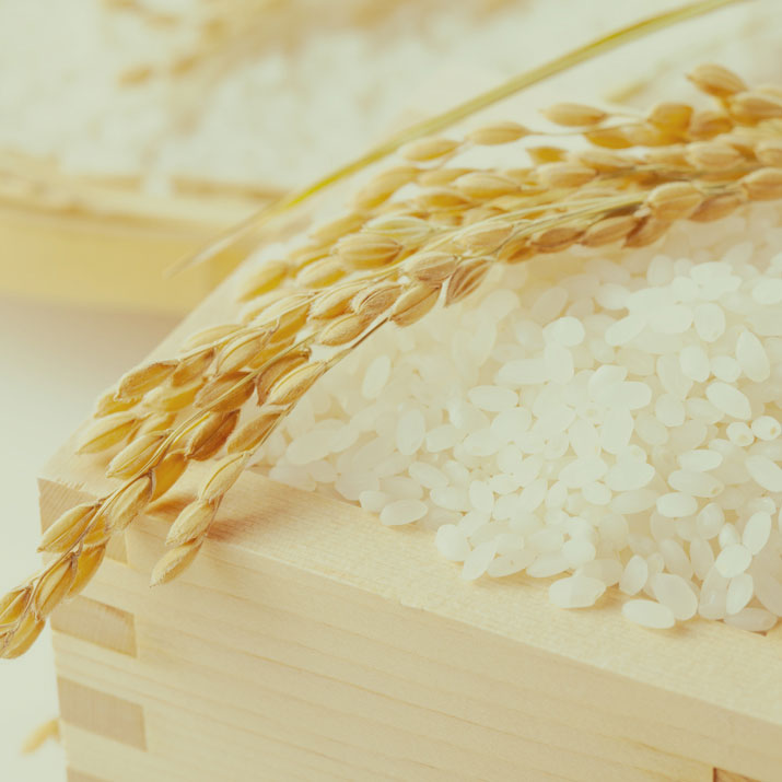 Rice:お米