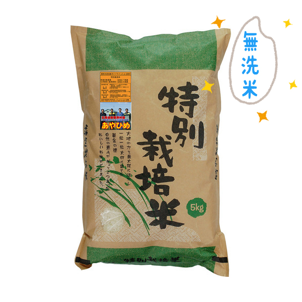 特栽米 新篠津あやひめ 無洗米(白米)　5kg・1袋