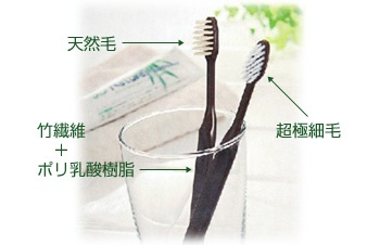 竹歯ブラシとは